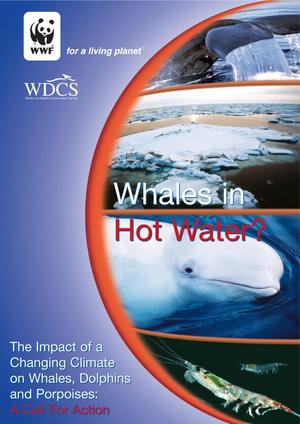 Primary view of object titled 'Whales in Hot Water? The Impact of a Changing Climate on Whales, Dolphins and Porpoises: A Call For Action'.