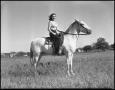 Photograph: [Anne Douglas Rides Horse]