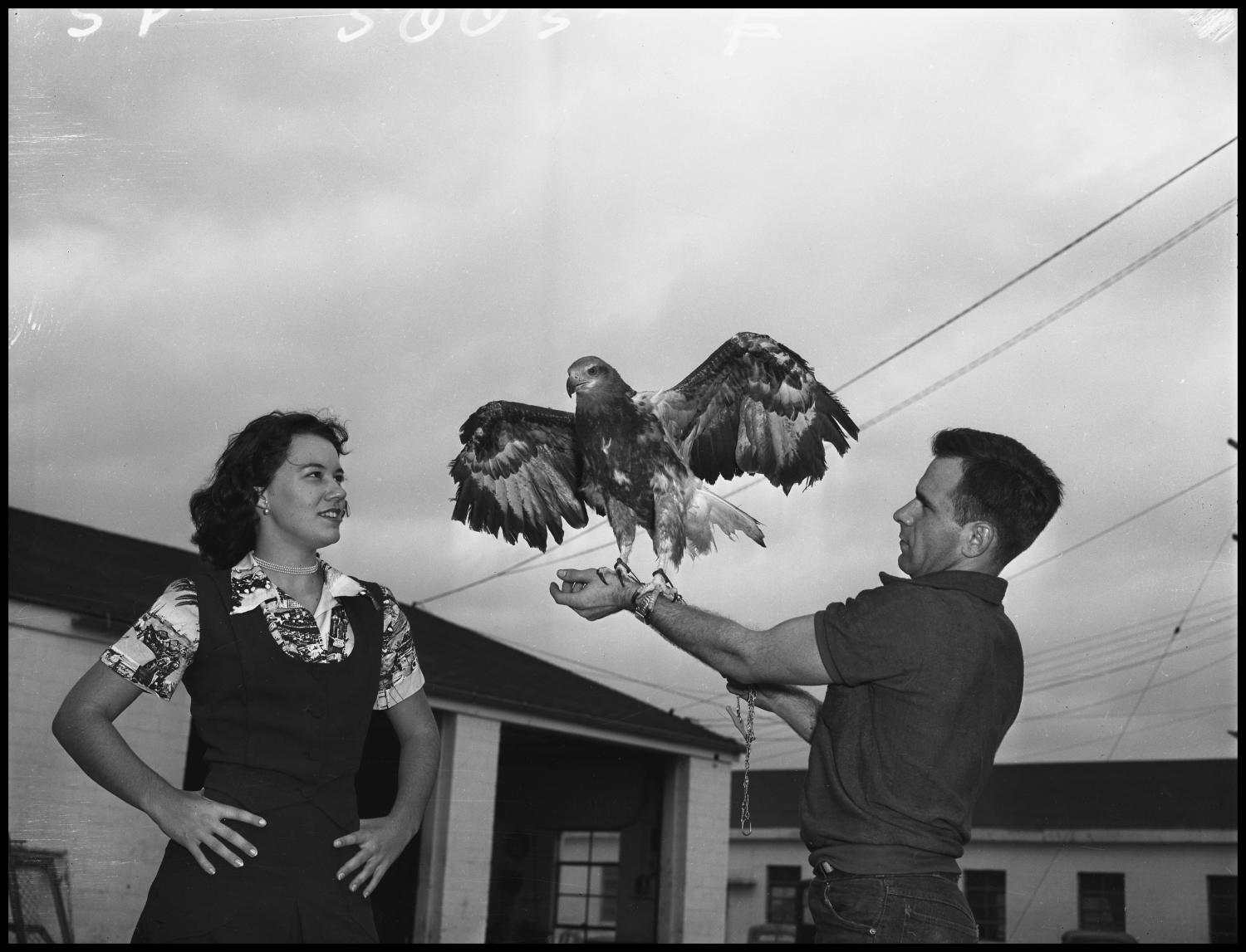 [Man and Woman with Eagle named "Scrappy"]
                                                
                                                    [Sequence #]: 1 of 1
                                                