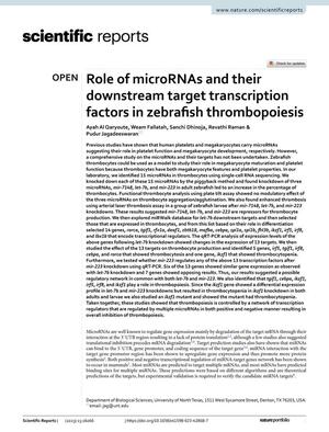 Primary view of object titled 'Role of microRNAs and their downstream target transcription factors in zebrafish thrombopoiesis'.