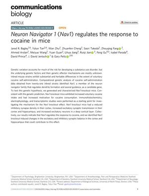 Primary view of object titled 'Neuron Navigator 1 (Nav1) regulates the response to cocaine in mice'.