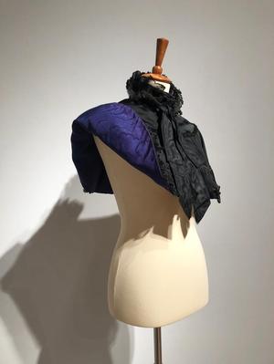 Primary view of object titled '[A mourning cape, 2]'.