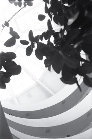 [View of the oculus at the Guggenheim, 1]