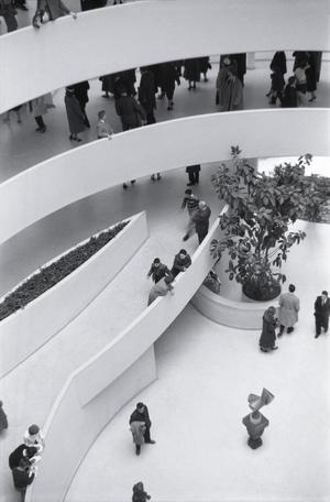 [Guests and plants at the Guggenheim, 1]