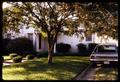 Photograph: [Mid-century home with a lawn and a car]