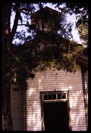Primary view of object titled '[White wooden building and a tree]'.