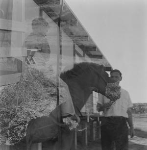[Danny Citron on a horse held by Dr. Ralph Citron, 2]