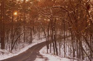 [Winter Serenity: A Snowy Journey Through Tyler State Park]