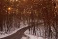 Photograph: [Frosty Trails: Navigating the Curves of Tyler's Winter Wonderland]