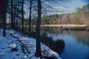 [Winter's Whisper: Frozen Reverie at Tyler's Lake]
