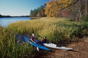 [Tranquil Waters: Kayaking at Tyler State Park]