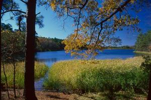 [Tranquil Reflections: The Lake at Tyler State Park]