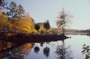 [Serene Reflections: The Lake at Tyler State Park]