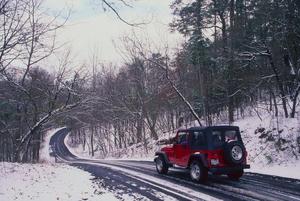 [Trailblazing Through Tyler: Jeep Expedition]