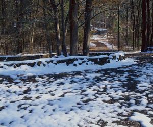 [Tranquil Winter Blanket: Snow at Tyler State Park]