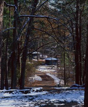 [Tranquil Retreat: Cabins at Tyler State Park]