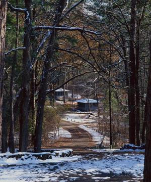[Sylvan Solace: Tyler State Park's Cabin Haven]