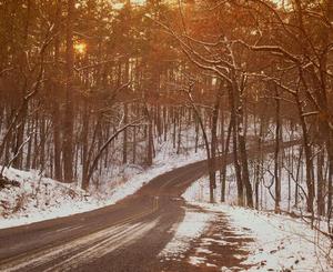 [Winter's Embrace: A Journey Through Tyler State Park]