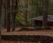 Photograph: [Rustic Retreat: A Cabin in the Heart of Tyler State Park]