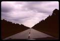 Photograph: [Photograph of road, 2]