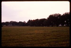 [Grassy field with trees]