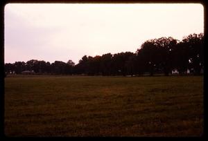 [Grassy field with trees, 2]