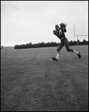 [North Texas State University Football Player Catching a Ball, September 1962]