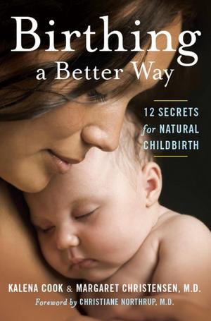 Primary view of object titled 'Birthing a Better Way: 12 Secrets for Natural Childbirth'.