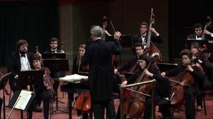 Ensemble: 2013-11-13 – Symphony Orchestra