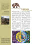 Thumbnail image of item number 3 in: 'Tunza: The UNEP Magazine for Youth, Volume 4, Number 1, 2006'.