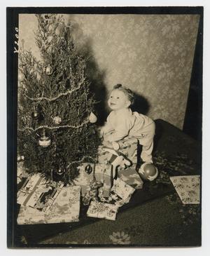 [Douglas Clark with Christmas Tree]