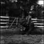 Photograph: [Man on Rearing Horse (blur view)]