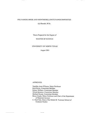 Nanocomposites thesis