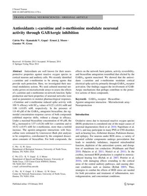 Antioxidants L-carnitine and D-methionine modulate neuronal activity through GABAergic inhibition