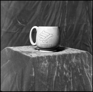 [NTSU mug with logo]