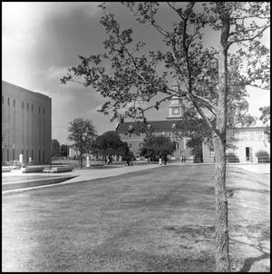 [Willis Library and Administration Building from the southeast]
