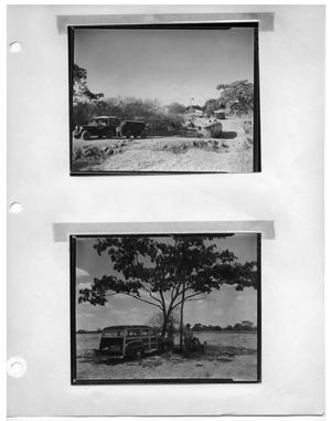 [Princeton Film Center Vehicles on the Road] and [Station Wagon Beneath Tree]