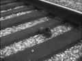 Video: [News Clip: Railroad Worker Killed by Train]