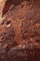 Primary view of Petroglyphs, Kane Creek Road, near Moab, Utah
