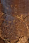 Thumbnail image of item number 1 in: 'Petroglyphs, Kane Creek Road, near Moab, Utah'.