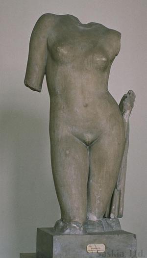 Torso of Aphrodite