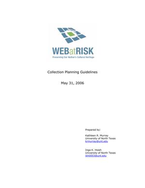 Primary view of object titled 'Collection Planning Guidelines'.