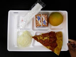Student Lunch Tray: 02_20110131_02B5967