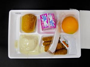 Student Lunch Tray: 02_20110131_02B5969
