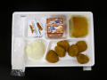 Physical Object: Student Lunch Tray: 02_20110131_02B6011