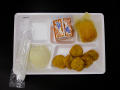 Physical Object: Student Lunch Tray: 02_20110131_02B6027