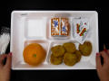 Physical Object: Student Lunch Tray: 02_20110131_02B6035