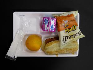 Student Lunch Tray: 02_20110208_02A5763