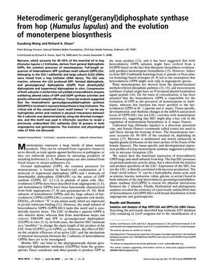Heterodimeric geranyl(geranyl)diphosphate synthase from hop (Humulus lupulus) and the evolution of monoterpene biosynthesis