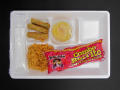 Physical Object: Student Lunch Tray: 01_20110216_01C4217